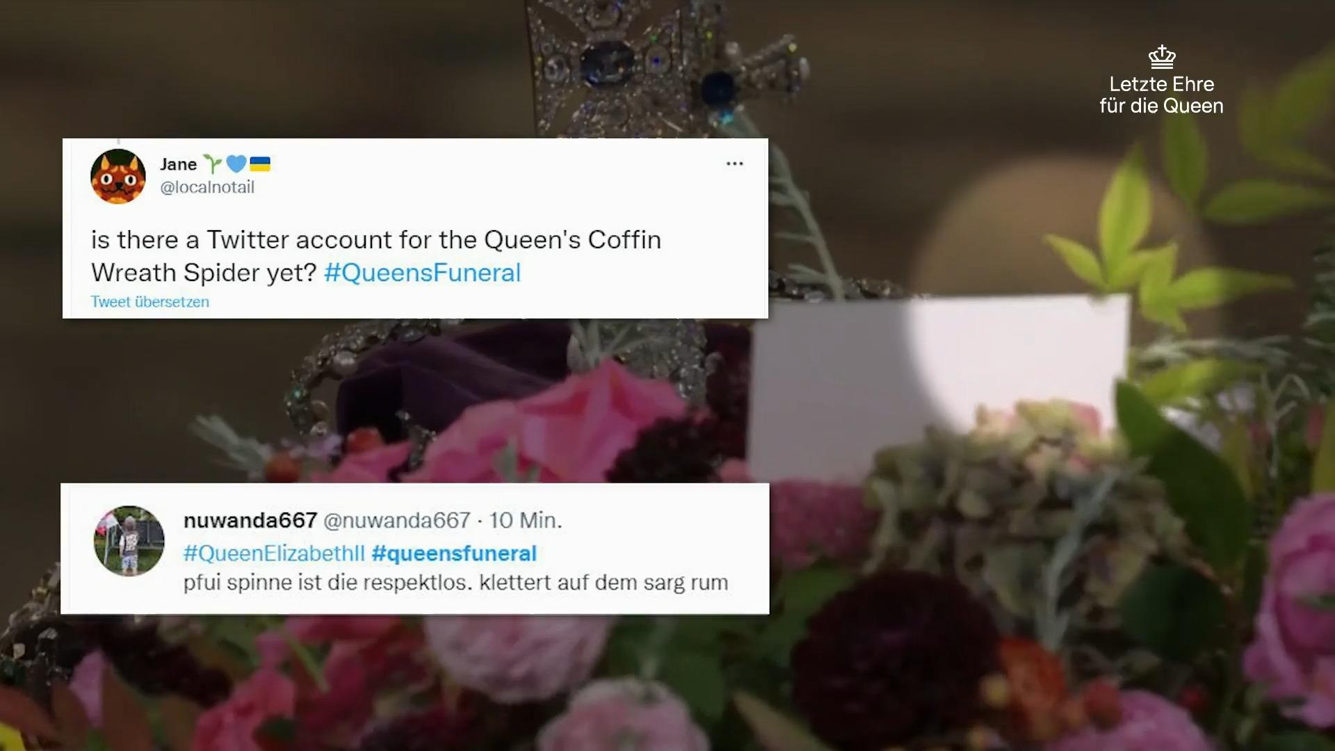 Uninvited: Green spider on the coffin decoration How Twitter users viewed the Queen's funeral service