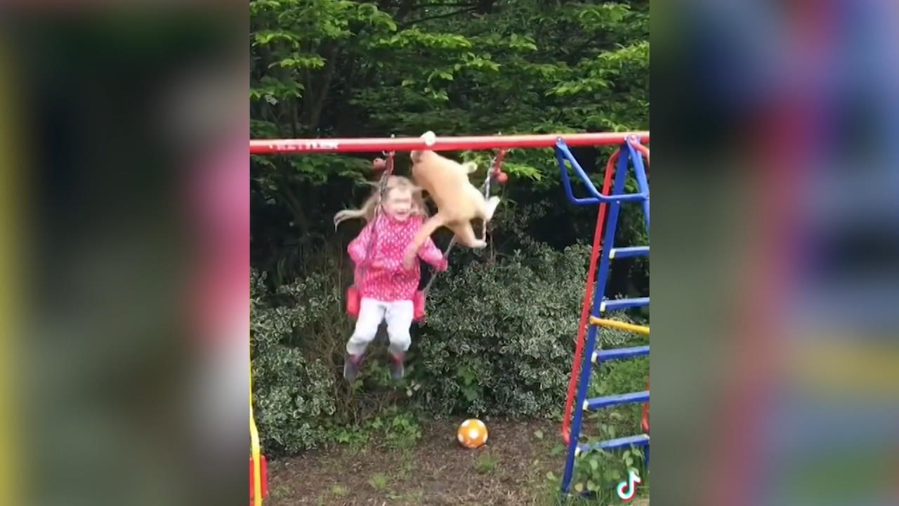 Katze stürzt auf Mädchen - das macht Salto! Unfreiwilliger Schaukel-Stunt