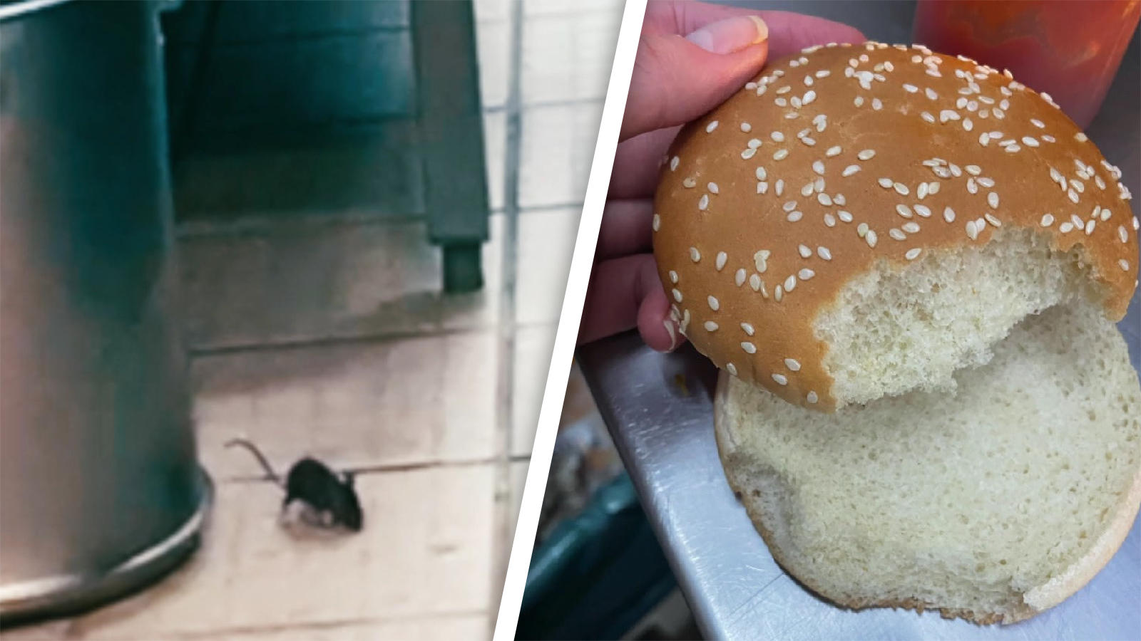 "Team Wallraff" entdeckt Mäuse bei Burger King Angefressene Brötchen, massenweise Kot