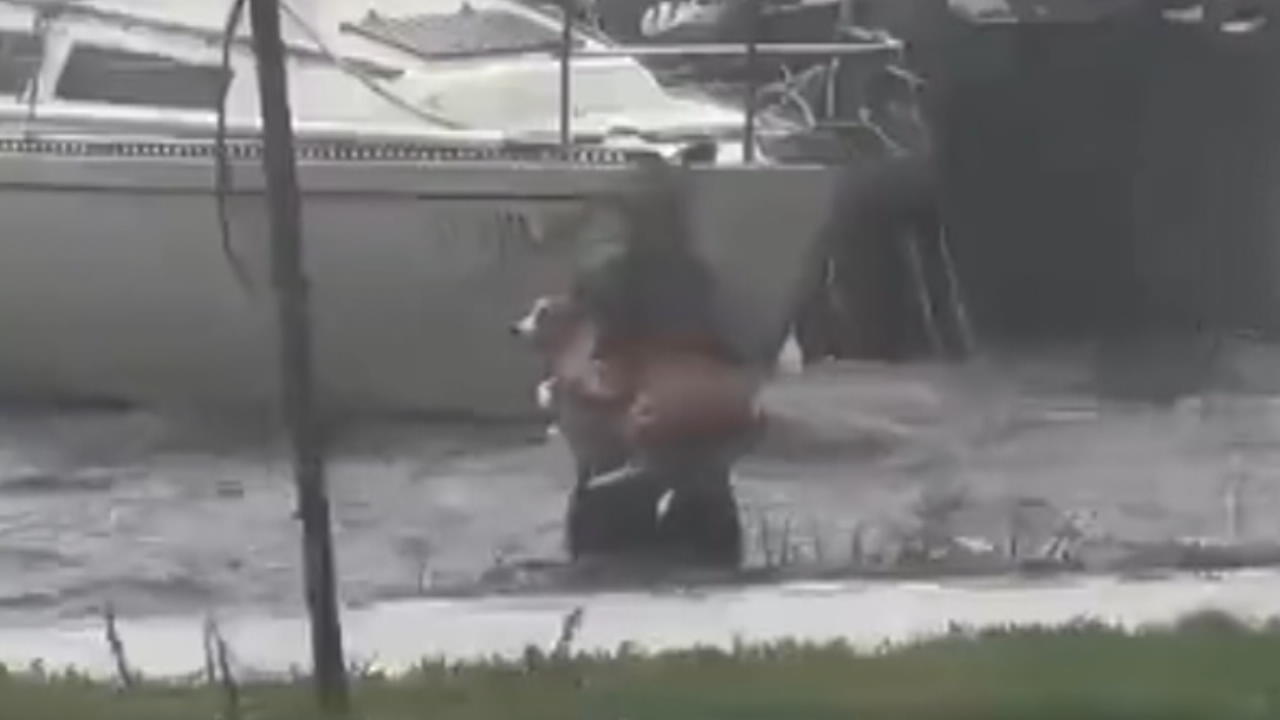 Mann rettet hilflosen Hund aus den Fluten Hurrican Ian