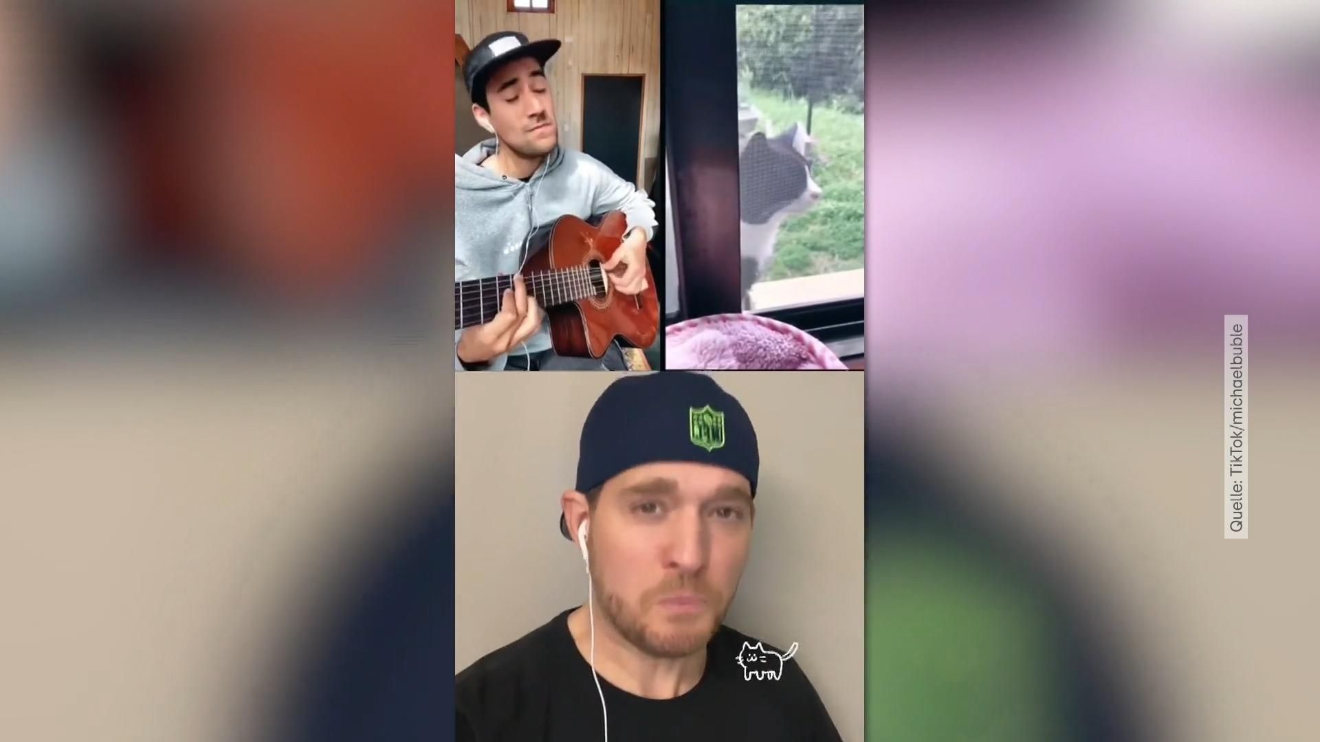Michael Bublé singt zusammen mit einer Katze Viraler Internet-Hit