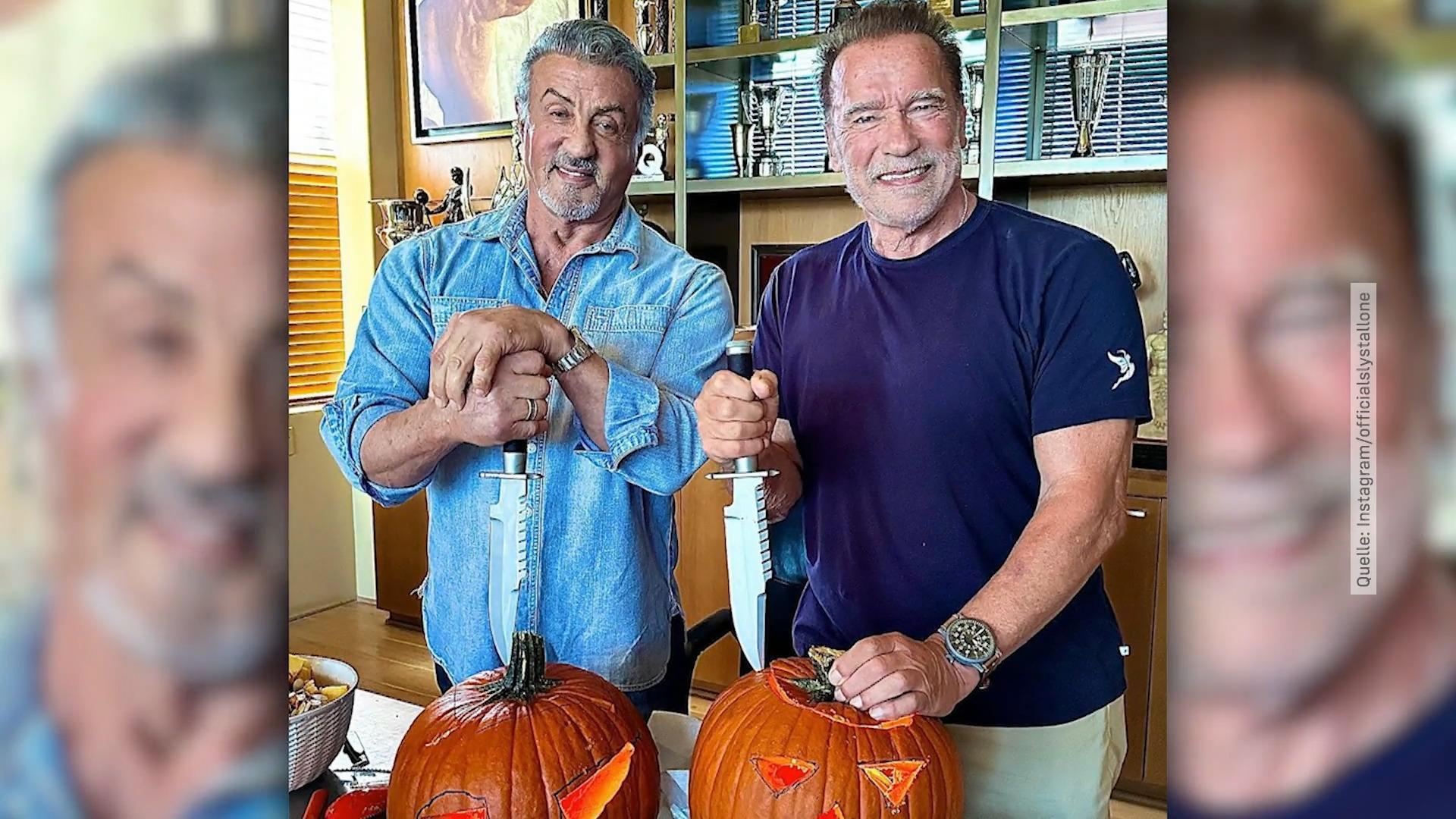 Stallone und Schwarzenegger schnitzen sich durch Lustig unterwegs vor Halloween