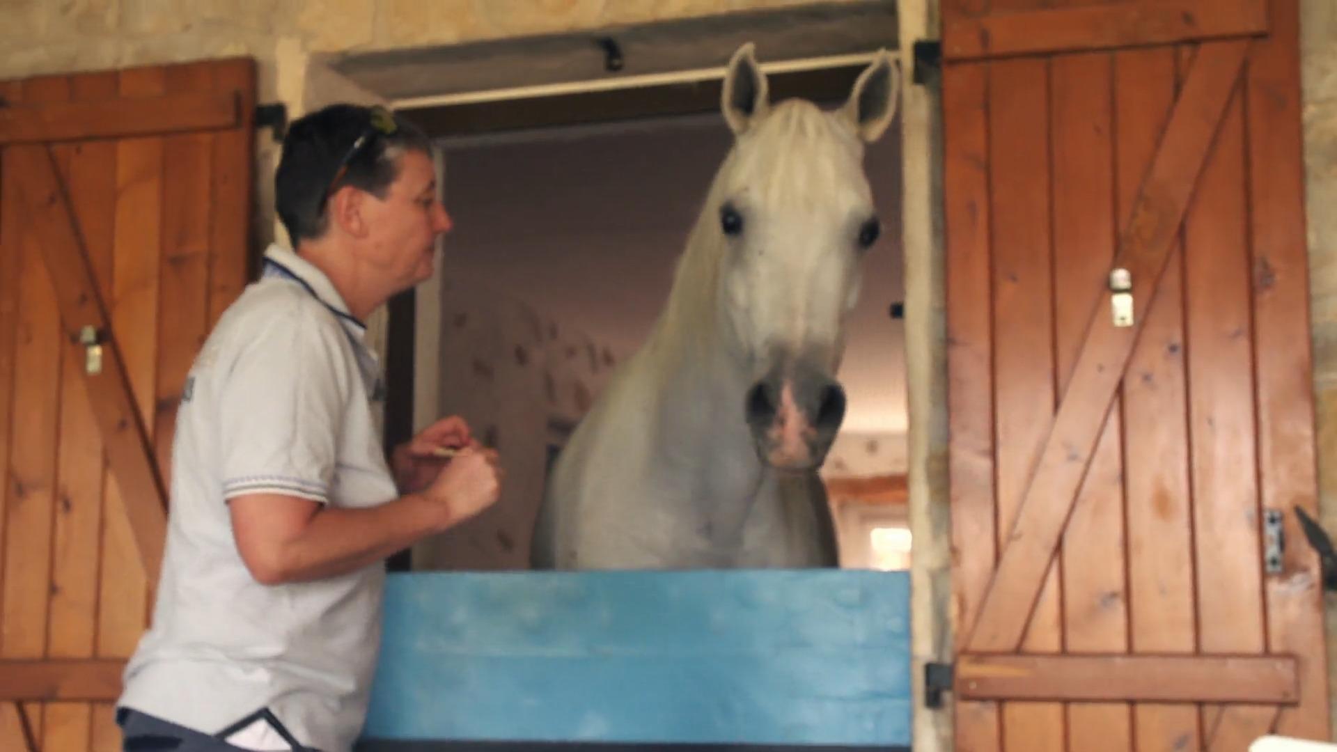 Da steht ein Pferd auf dem Flur, und auch im Rest des Hauses Stephanie wohnt unter einem Dach mit ihrem Pferd