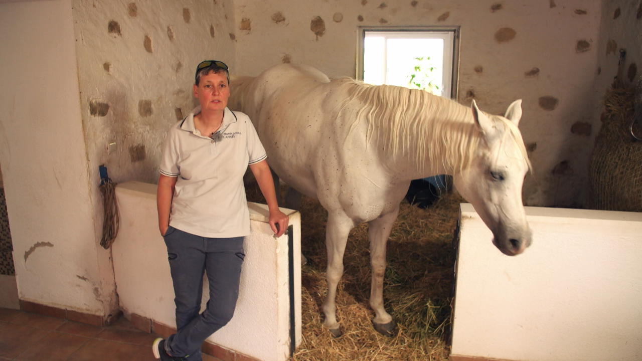 Stephanie lebt in einer tierischen WG Huch, da lebt ein Pferd im Haus!