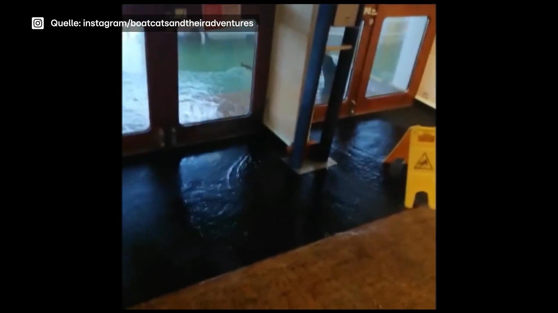 Kreuzfahrtschiff kämpft gegen hohe Wellen Aida aura in schwerer See