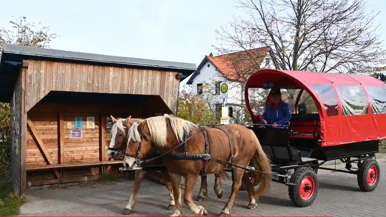 Auf Hiddensee gibt's jetzt Pferdeersatzverkehr Langsam aber pünktlich