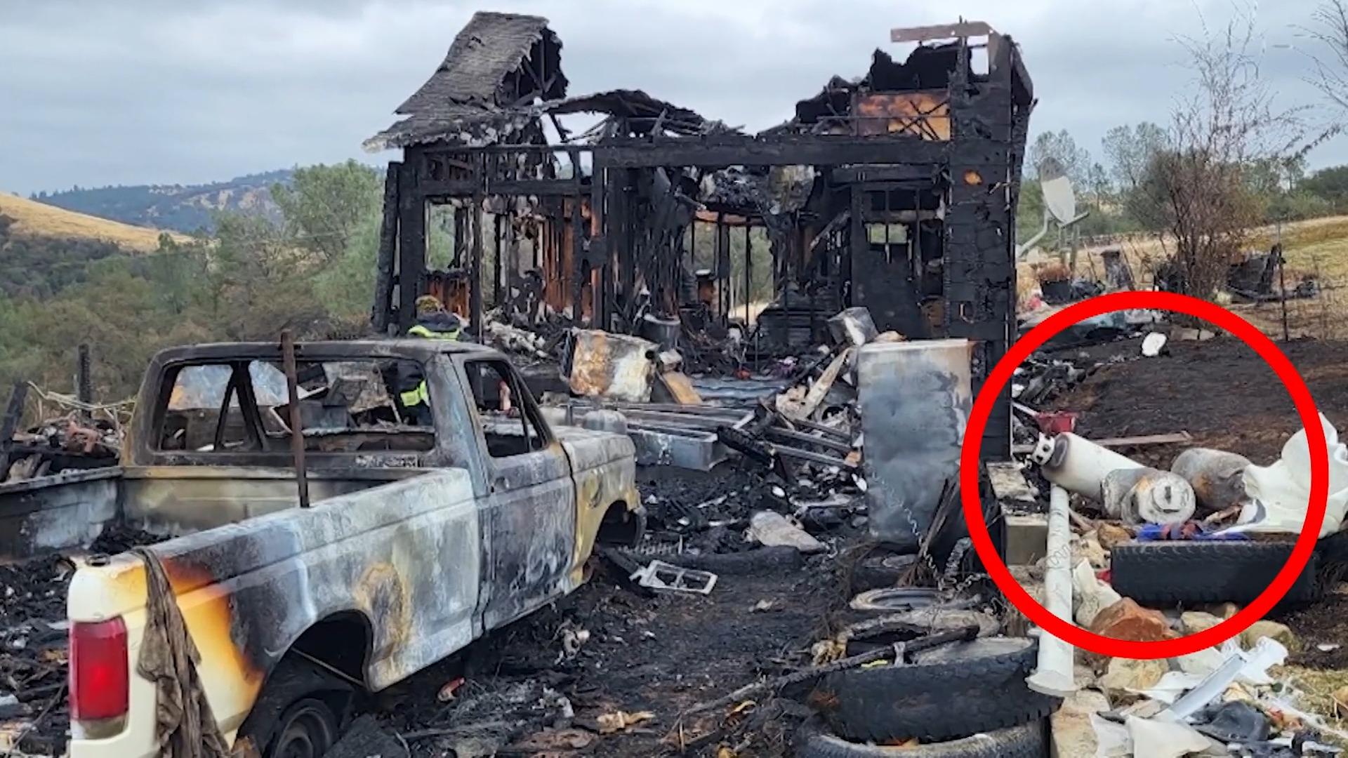 Meteorit soll Hund getötet haben Mysteriöser Brand in den USA