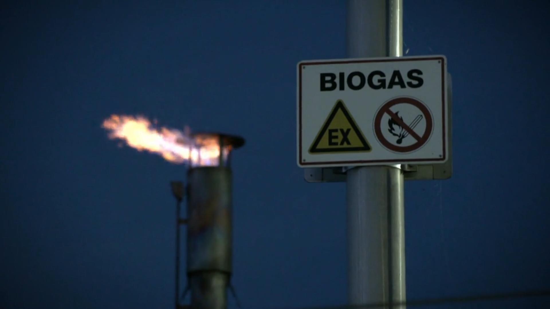 Unfassbar: Bauer muss wertvolles Biogas sinnlos verbrennen Regierung bleibt untätig