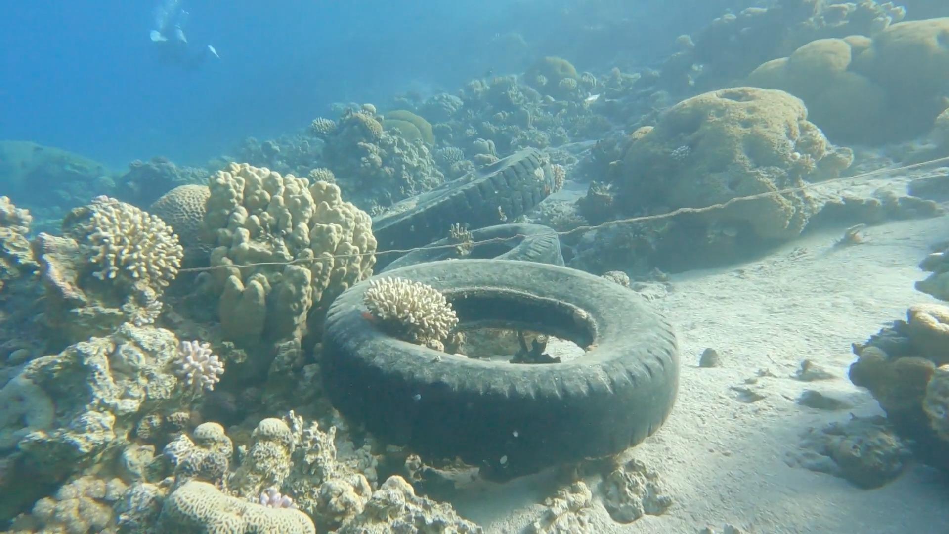 "Project Sea" taucht mit Freiwilligen nach Müll Tauchen sammeln Plastik aus dem Roten Meer