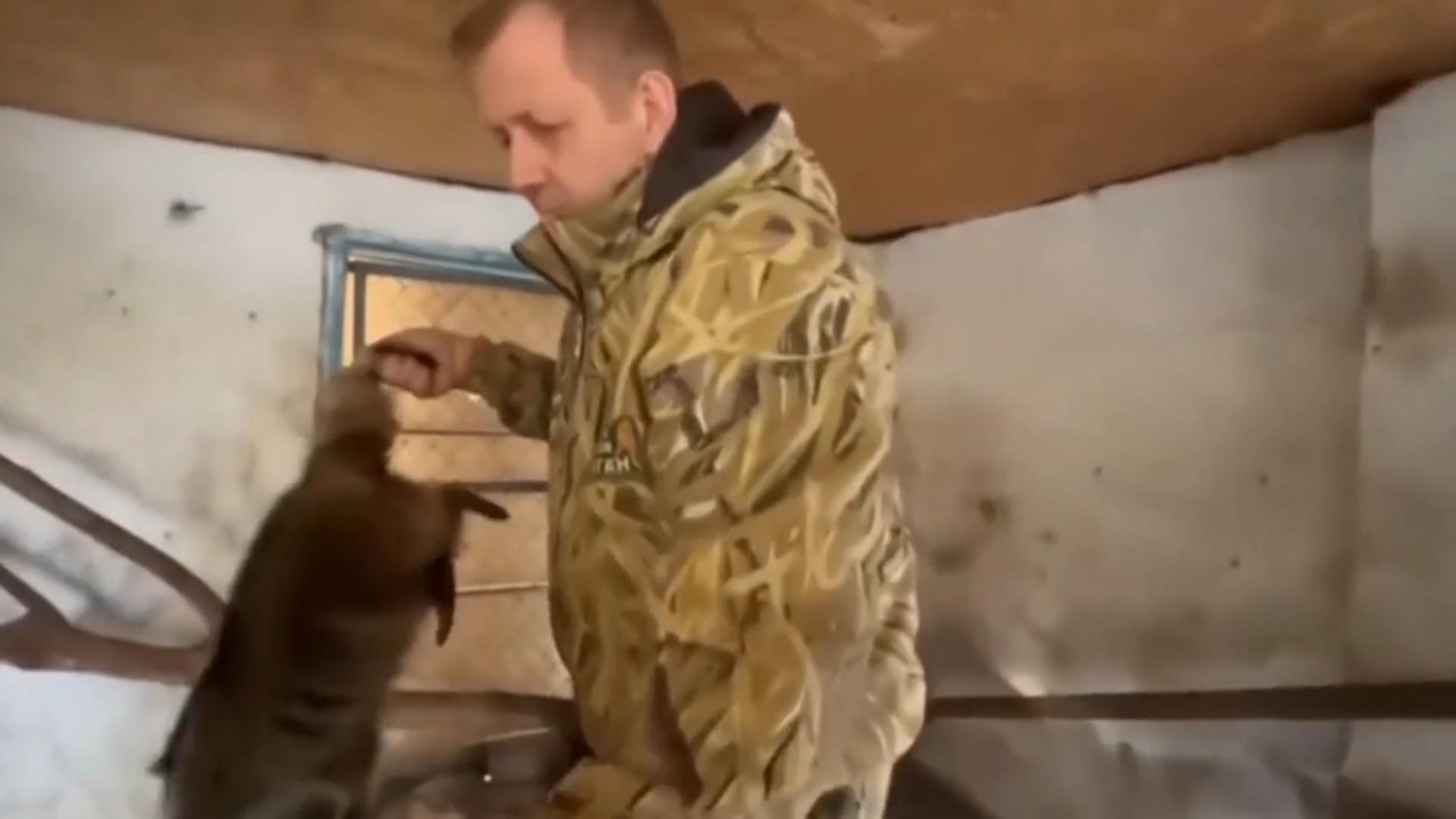 Russischer Zoobesitzer klaut Tiere aus Zoo in Cherson Kurz vor dem Abzug