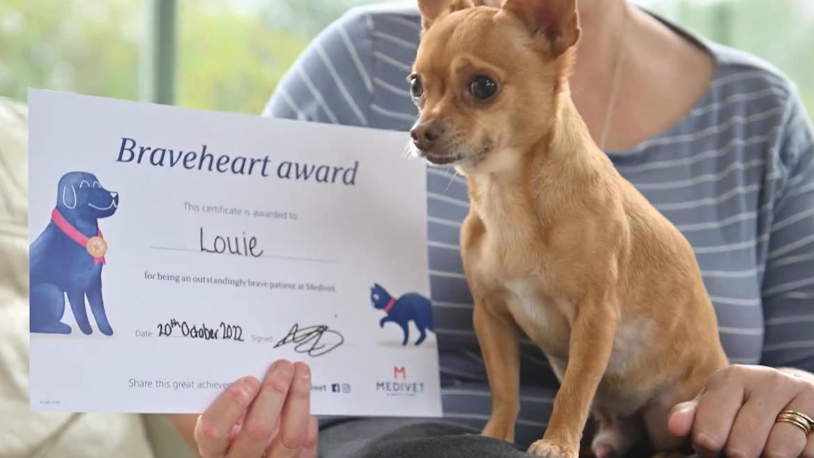 Frau verkauft Auto um Hund lebensrettende OP zu zahlen 17.500 Pfund für Louie