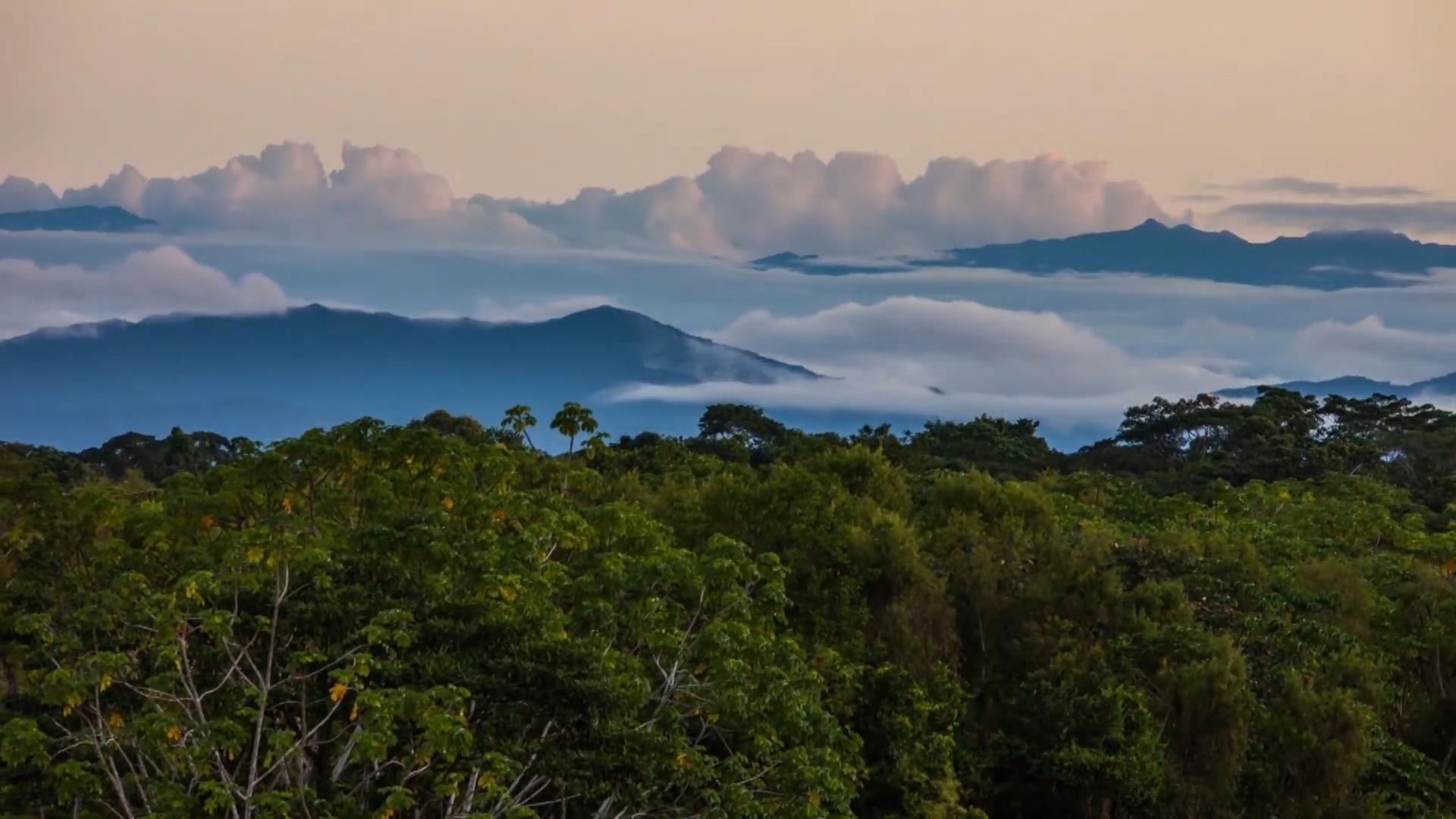 Indonesien, Kongo und Brasilien arbeiten zusammen Lula gründet Regenwald-Allianz