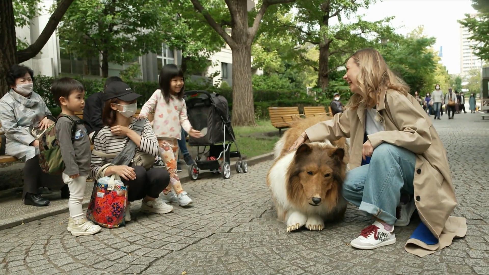 Kurioser Hunde-Hype in Tokio Hunde-Verkleidung und Robo-Hunde