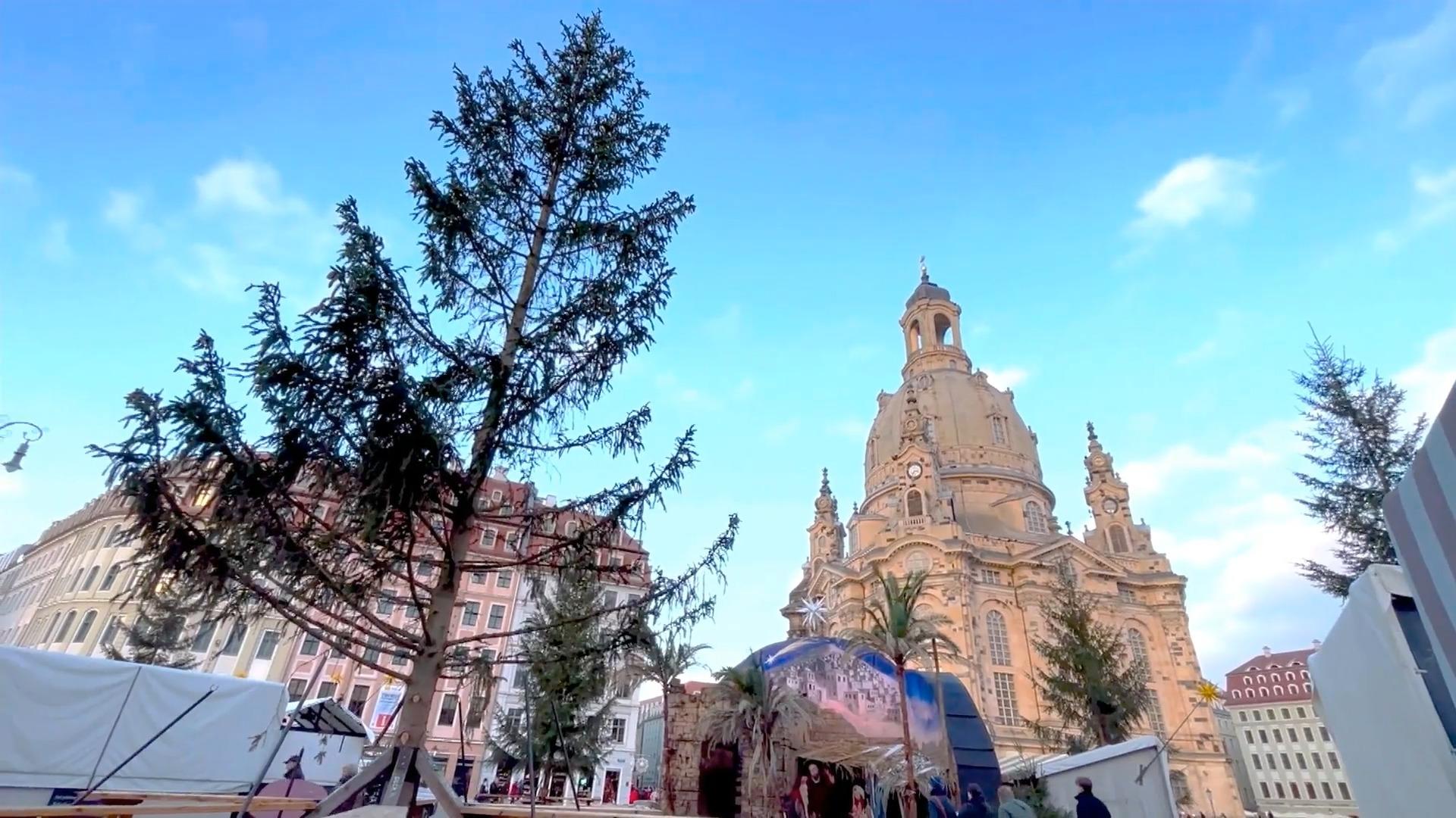 Klägliche Weihnachtsbäume Auf dem Dresdener Striezelmarkt und anderswo