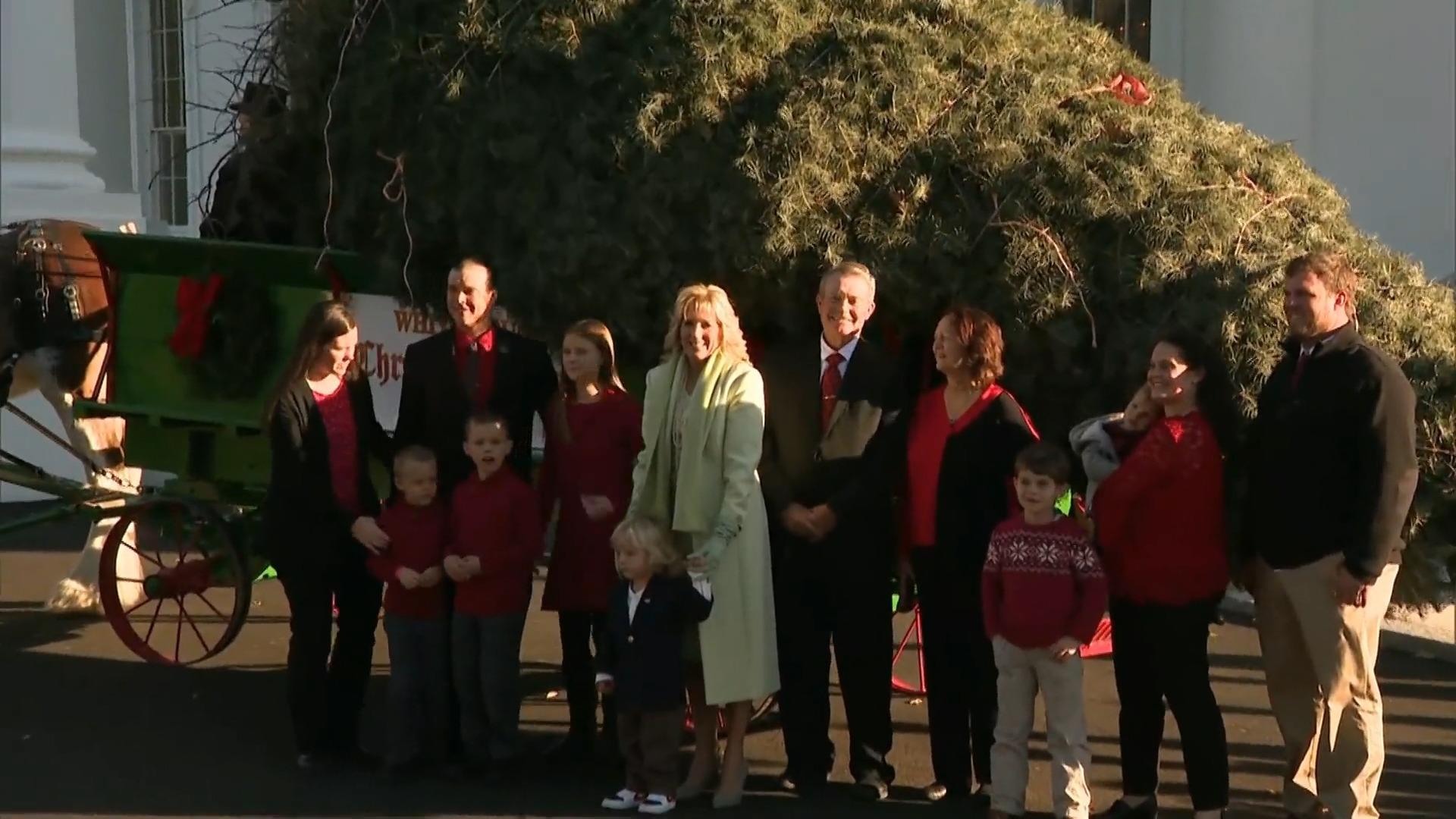 Jill Biden & Familie nehmen Weihnachtsbaum in Empfang Per Kutsche angeliefert