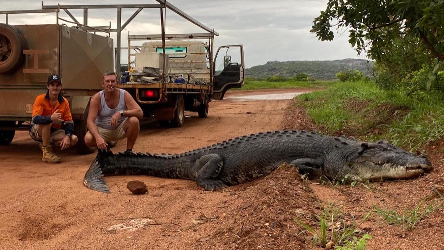 Lebensgefahr wegen Foto: Krokodil attackiert beinahe Mann Gefährlicher Schnappschuss!