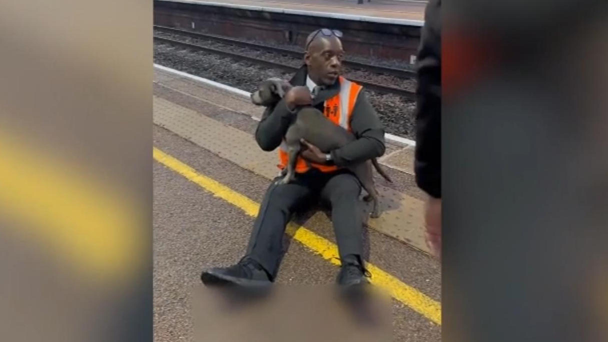 England: Bahmitarbeiter rettet Hund vor einfahrendem Zug „Ein echter Held!“