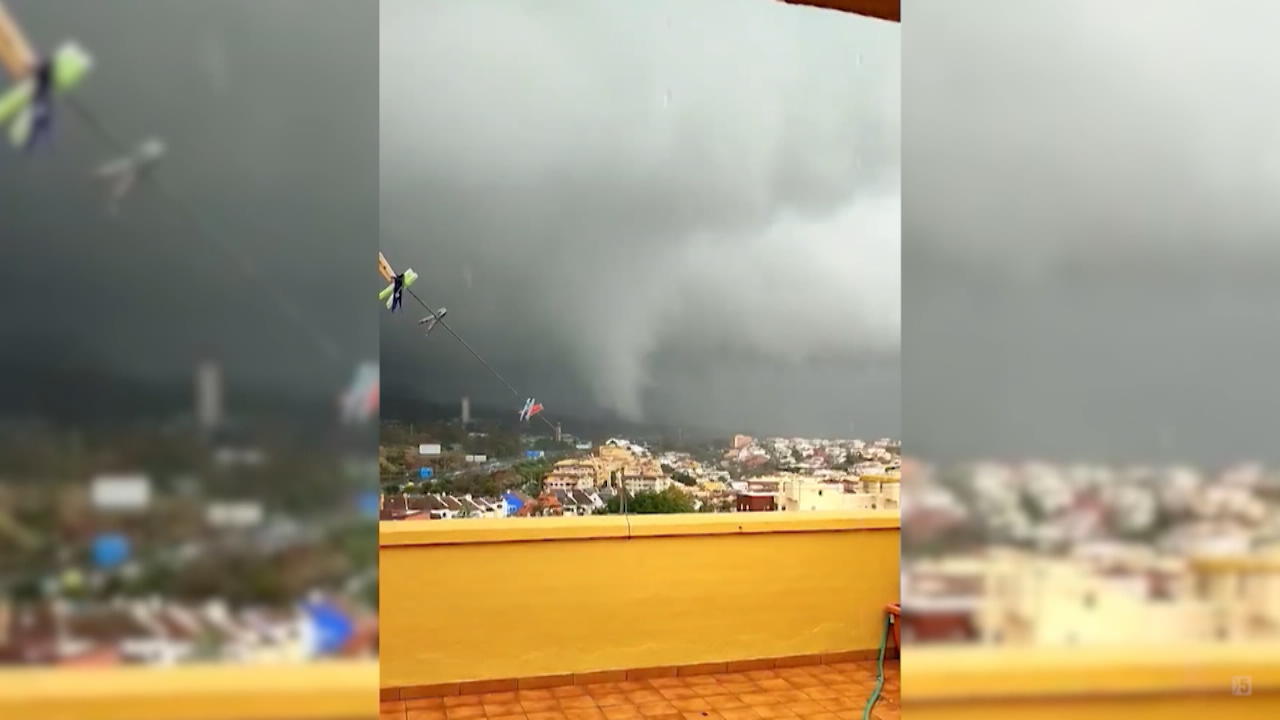 Marbella: Tornado verwüstet spanische Touristen-Hochburg Bäume wurden entwurzelt