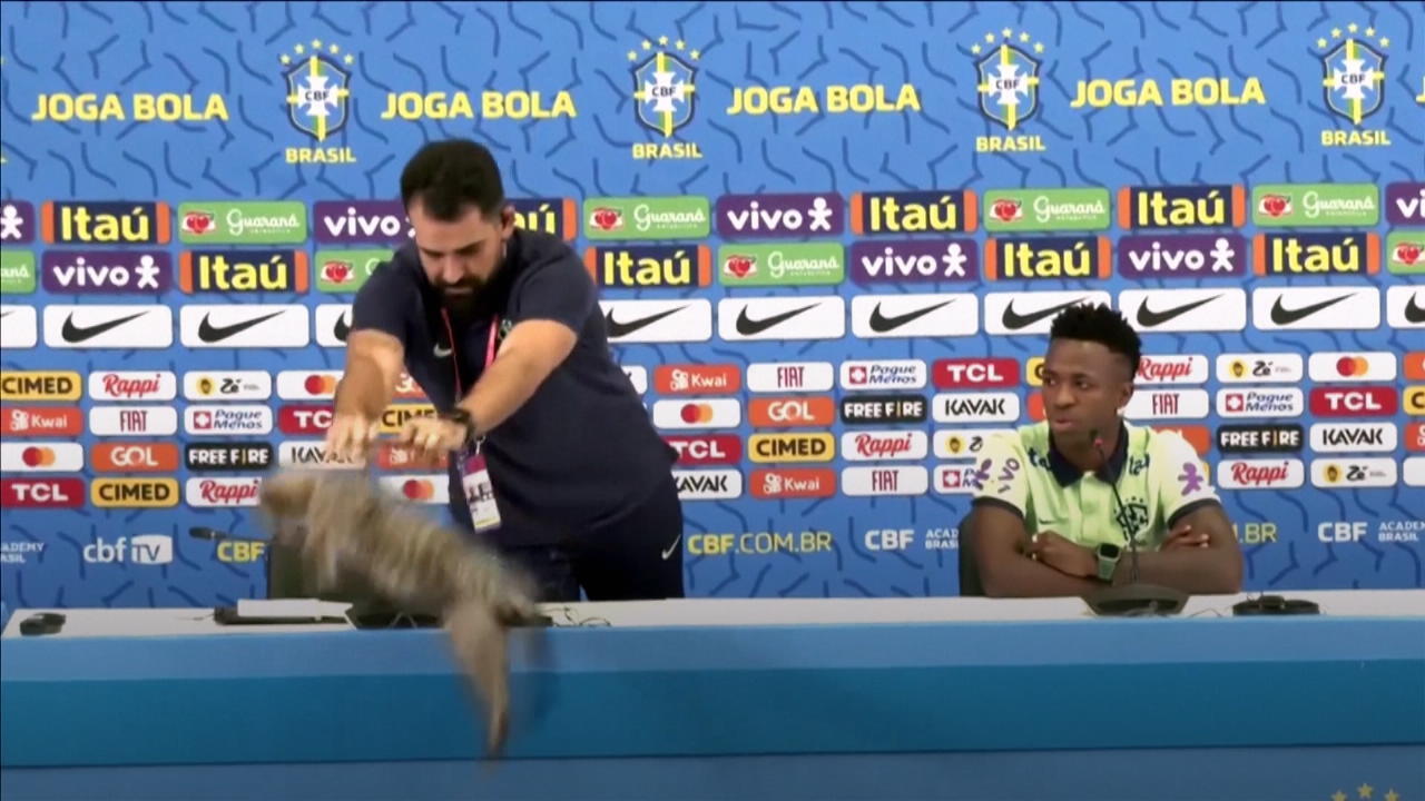 Brasilien-Sprecher schmeißt Katze vom Pult Tierlieb sieht anders aus!