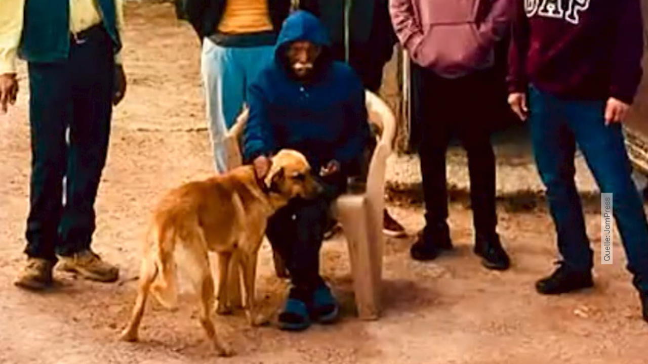 Treuer Hund rettet Herrchen aus der Wüste Ohne "El Palomo" hätte Gregorio (84) wohl nicht überlebt