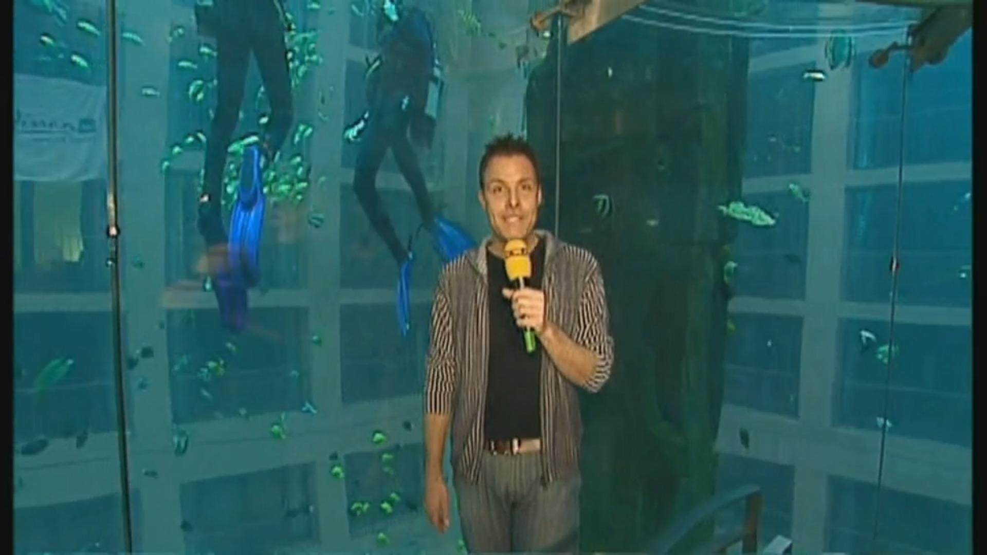 RTL-Reporter erklärt das Riesen-Aquarium Archiv-Video aus dem Februar 2004