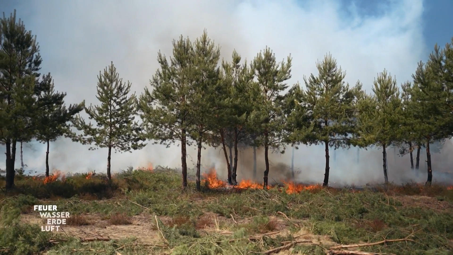 In Brandenburg steht der Wald in Flammen! Lichterloh