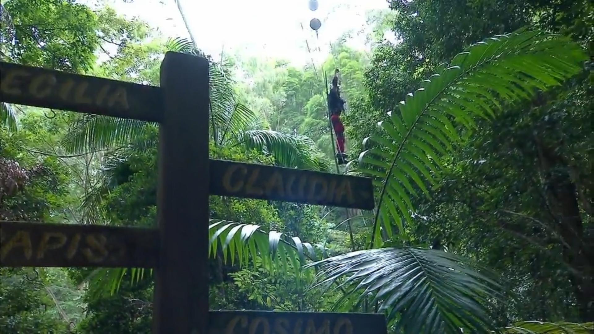 Knallharte Dschungel-Challenge: 100 Meter & ein dünnes Seil "Nur eine falsche Bewegung und dann bist du weg"