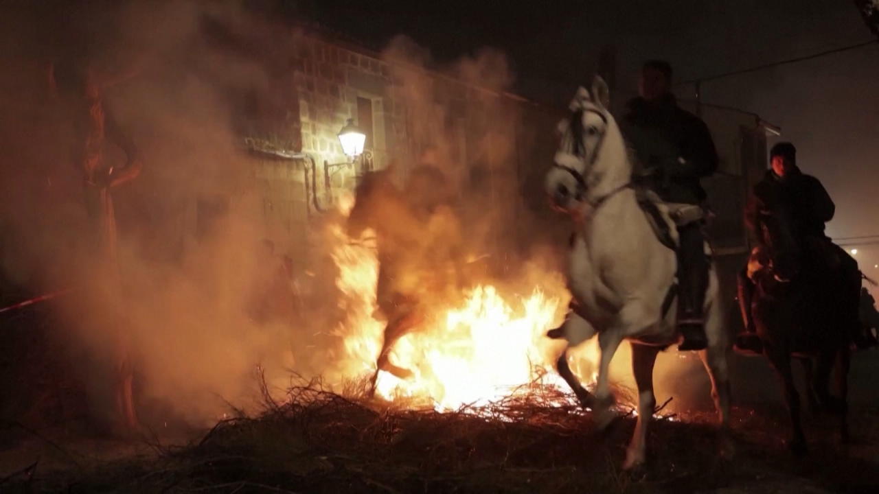 Pferde werden bei Festival durch Flammen geritten Tierquälerei in Spanien