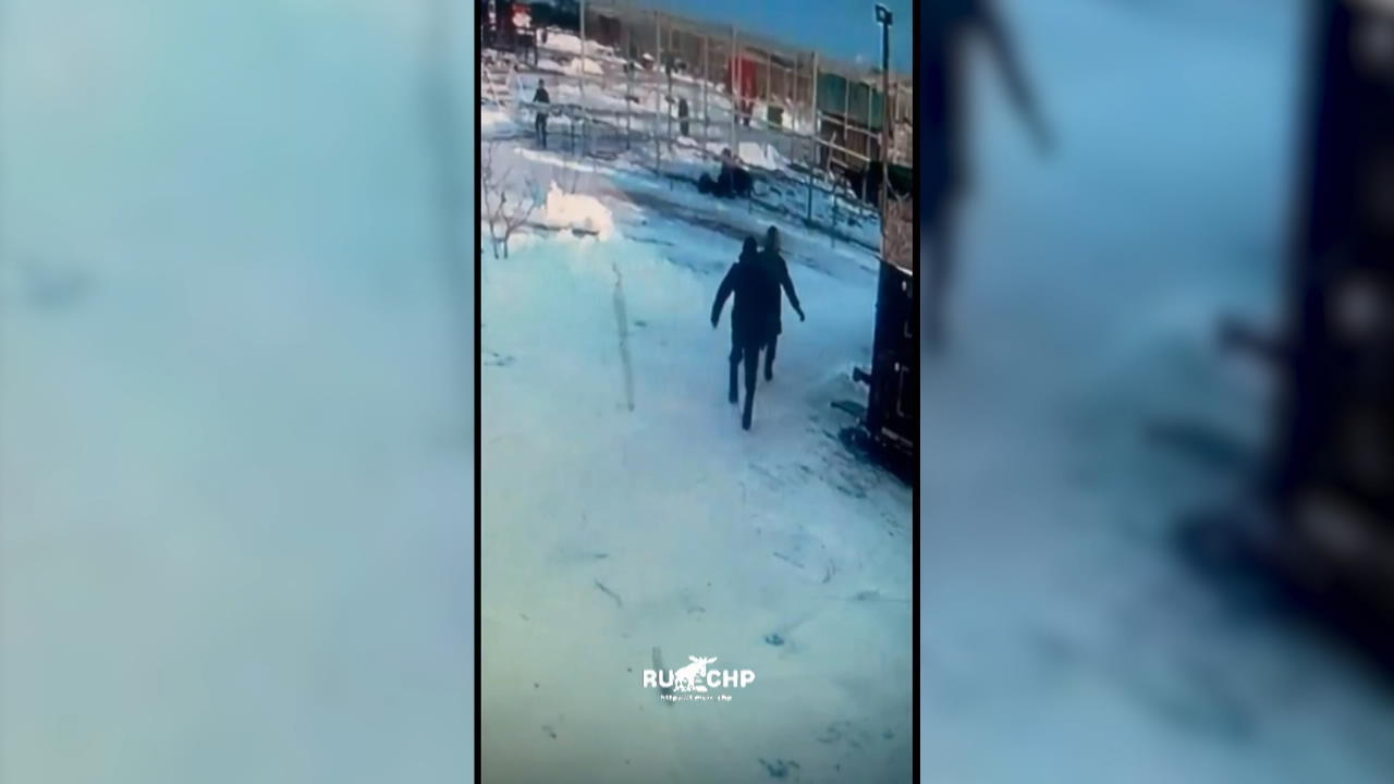 Betrunkene Russin will Löwe im Zoo streicheln und klettert über ...