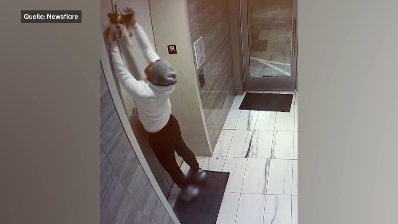 Im Fahrstuhl eingeklemmt! Mann rettet Hund aus Aufzug Frauchen ist schon nicht mehr da