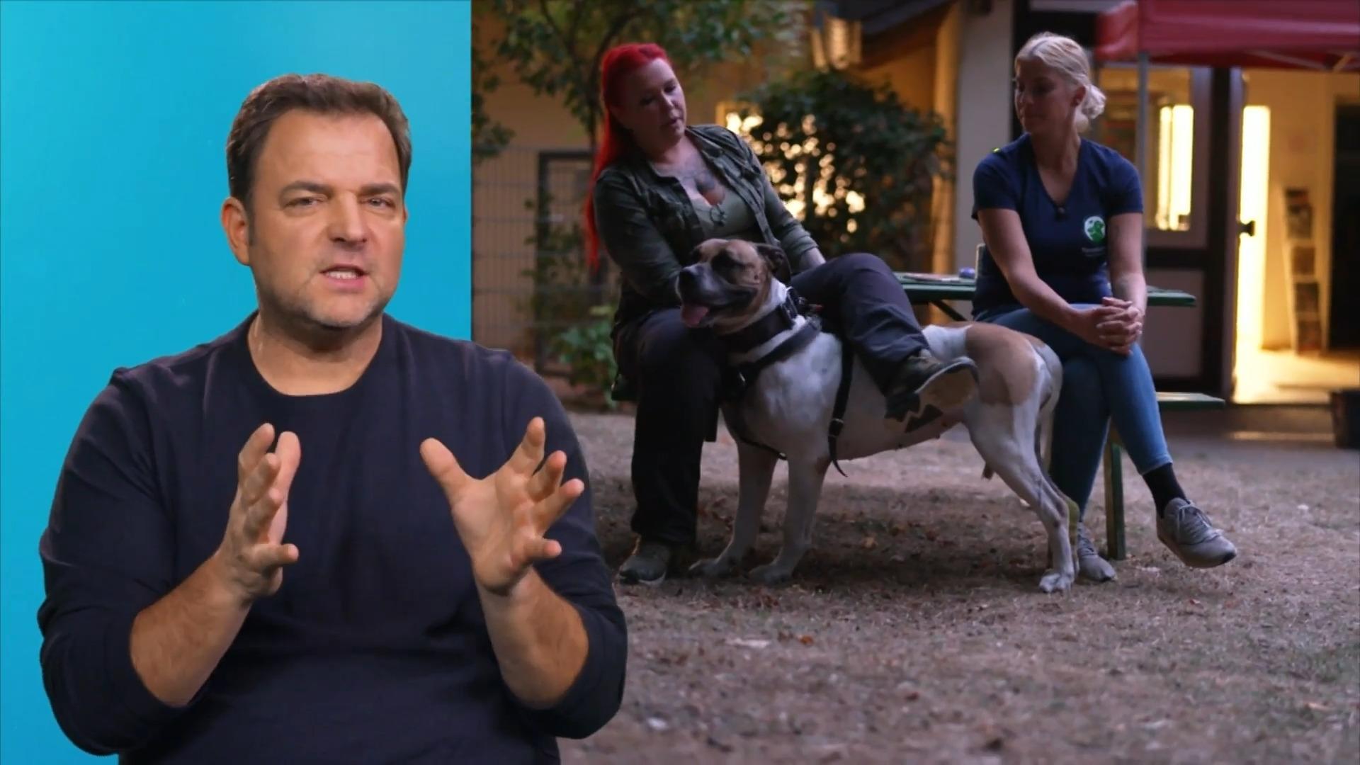 Hund bricht Frau bei "Die Unvermittelbaren" den Finger Schock-Moment