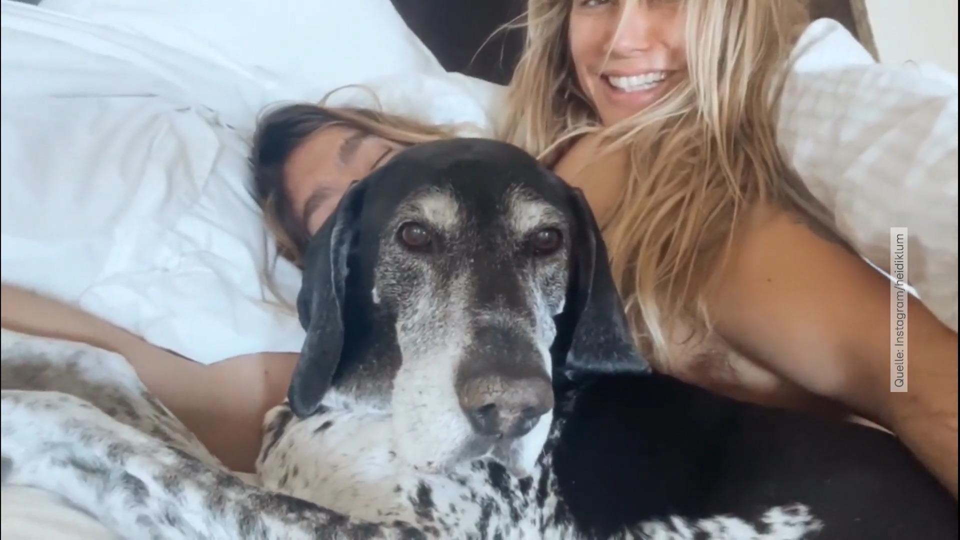 Heidi Klum & Tom Kaulitz trauern um Hund Capper "Für immer in unseren Herzen"