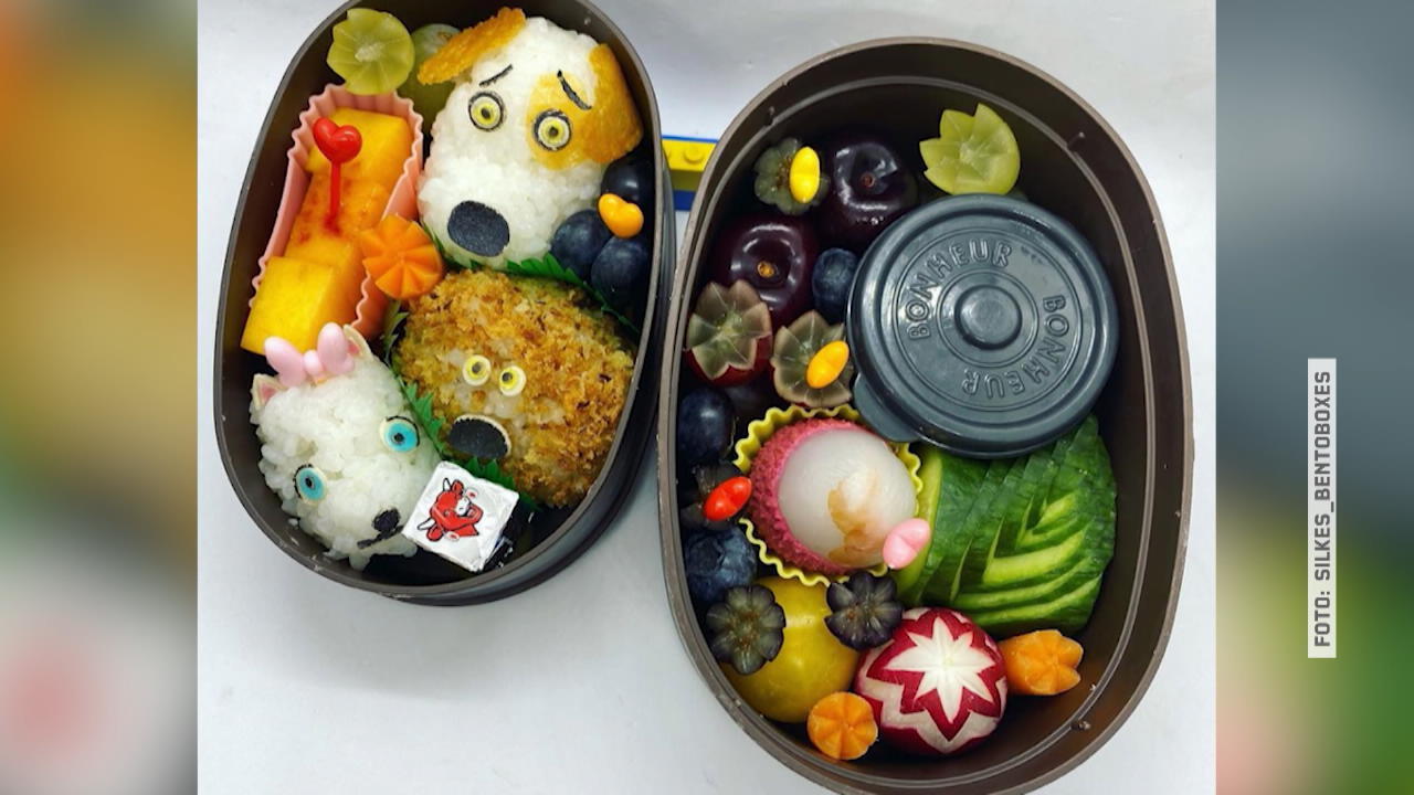 Durchgestylte Lunchpakete aus Japan Brotdose Kunst