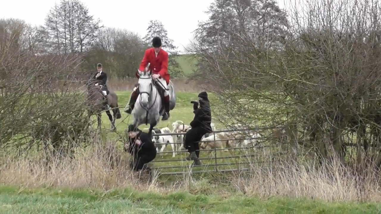 Jäger stößt Aktivistin mit Pferd zu Boden Auseinandersetzung in Großbritannien