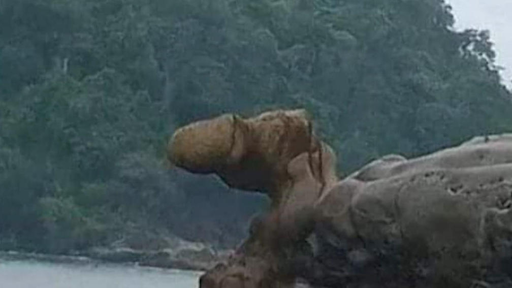 Ständer-Sightseeing: Schniedel-Stein soll Sexleben aufpeppen Hat dieser Penis-Brocken magische Kräfte?