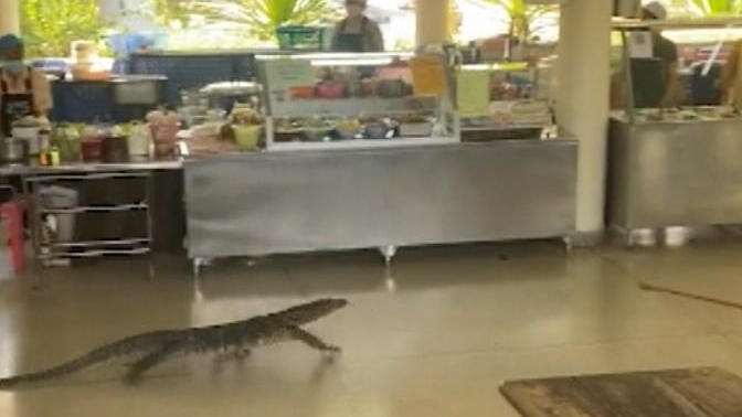 Angriff in der Kantine: Waran schockt Studenten in Thailand Urzeit-Reptil hatte sich verirrt!