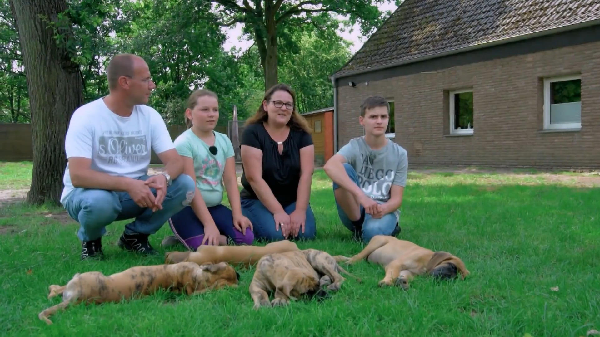 Rodzina Michelle nie może żyć bez psa, a dog niemiecki wprowadza się
