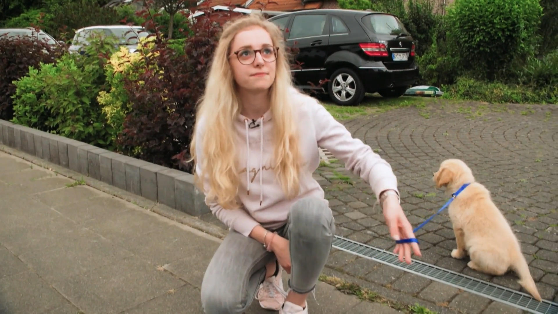 Die Leine mag Sam überhaupt nicht Schwieriger Spaziergang