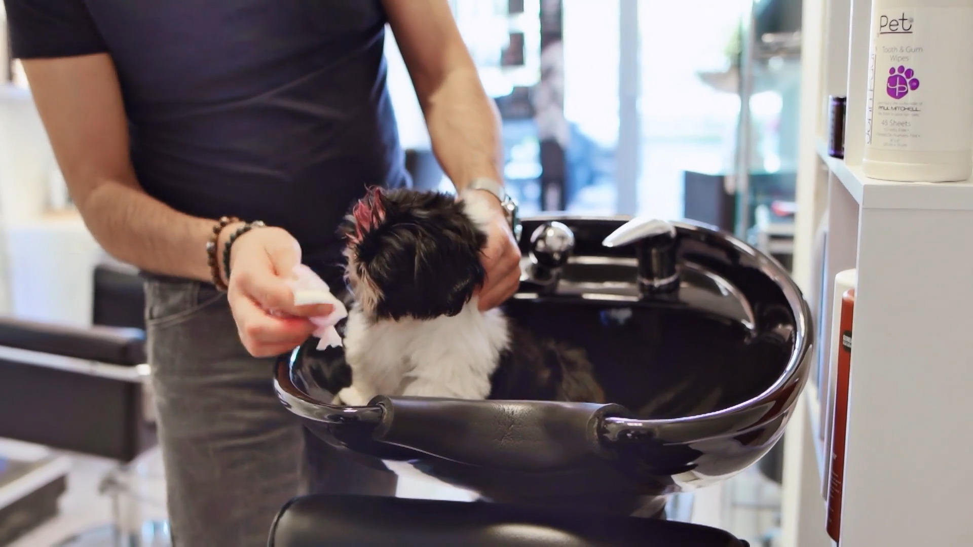 Lillifee bekommt erstmal Farbe verpasst Herrchen ist Friseur