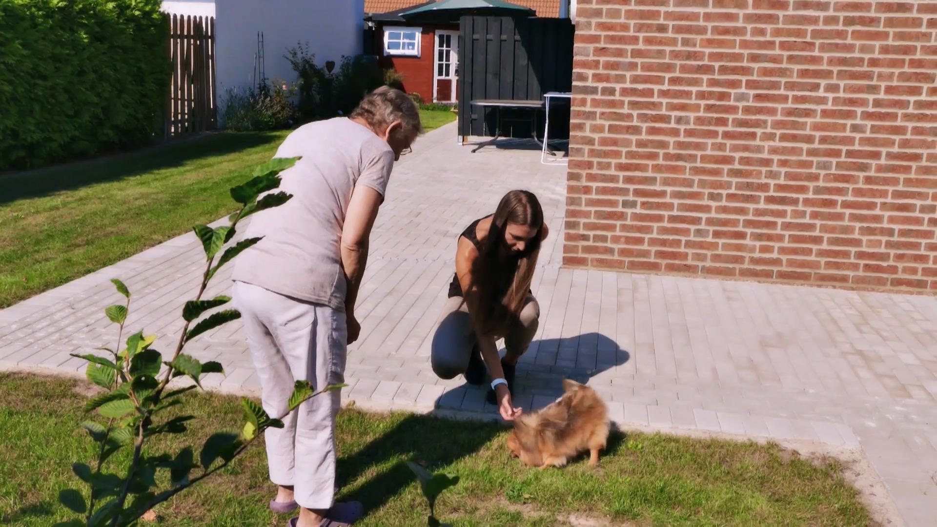 Brigitte braucht Hilfe bei Tulas Erziehung Hundetrainerin