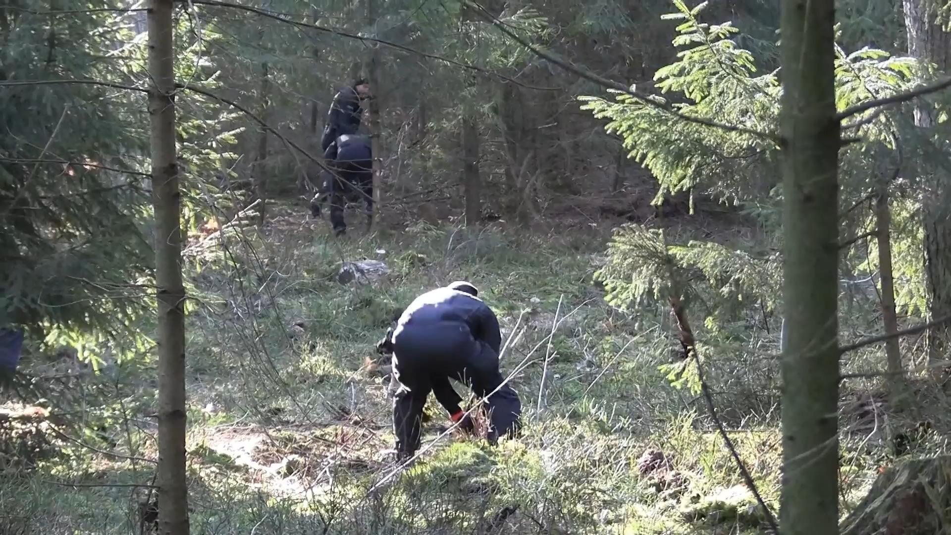 Polizei sucht Wald ab: Neue Spur im Fall von Gitta Schnieder Mordfall von vor 34 Jahren