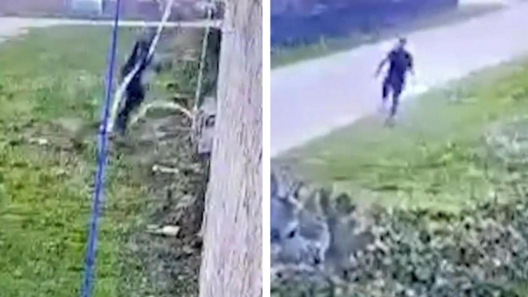 Mafia-Boss bricht aus Hochsicherheitsgefängnis aus Mit Bettlaken!