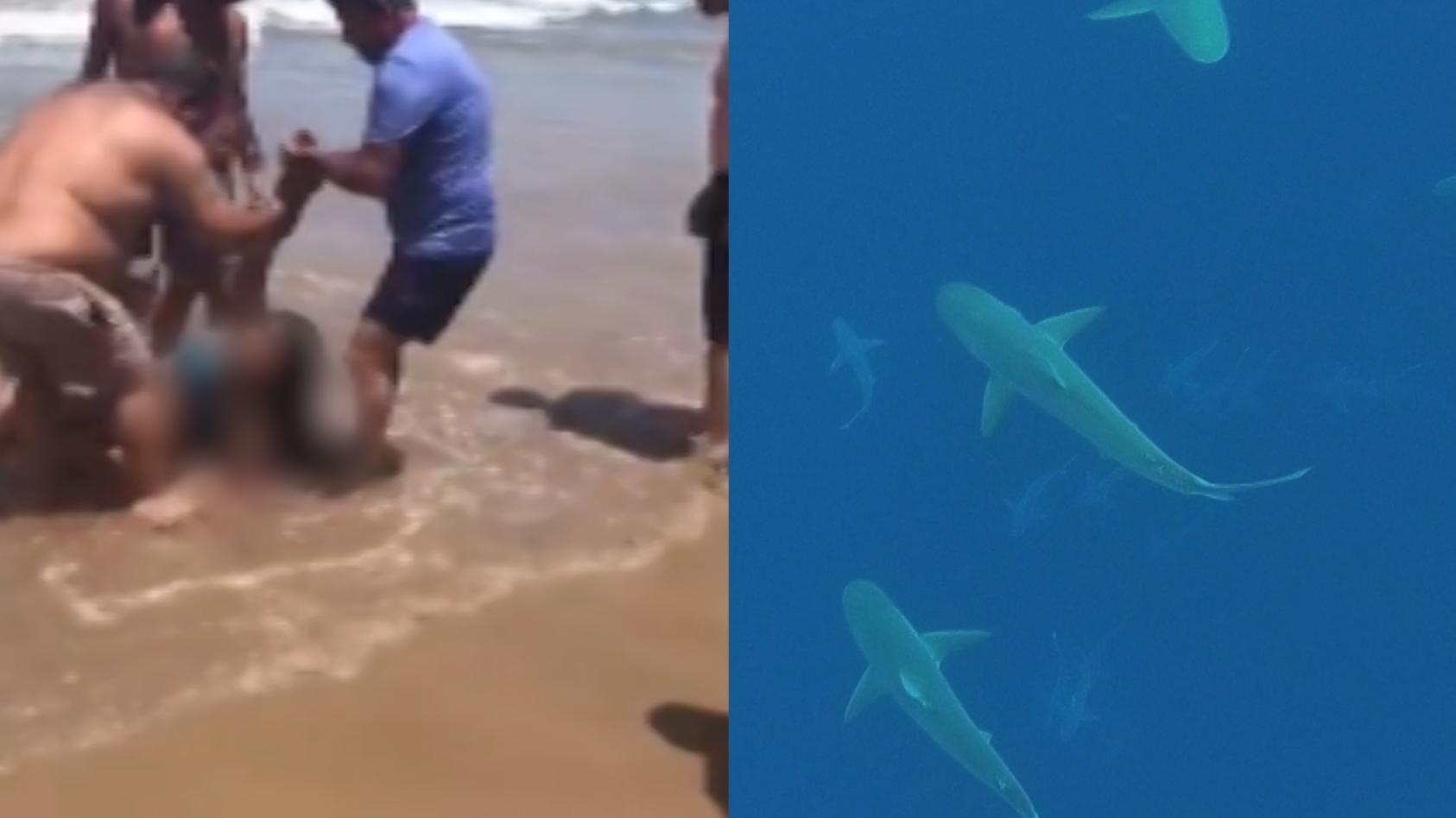 Mädchen verliert Arm an brasilianischem Horror-Strand Zwei Hai-Attacken in 48 Stunden: