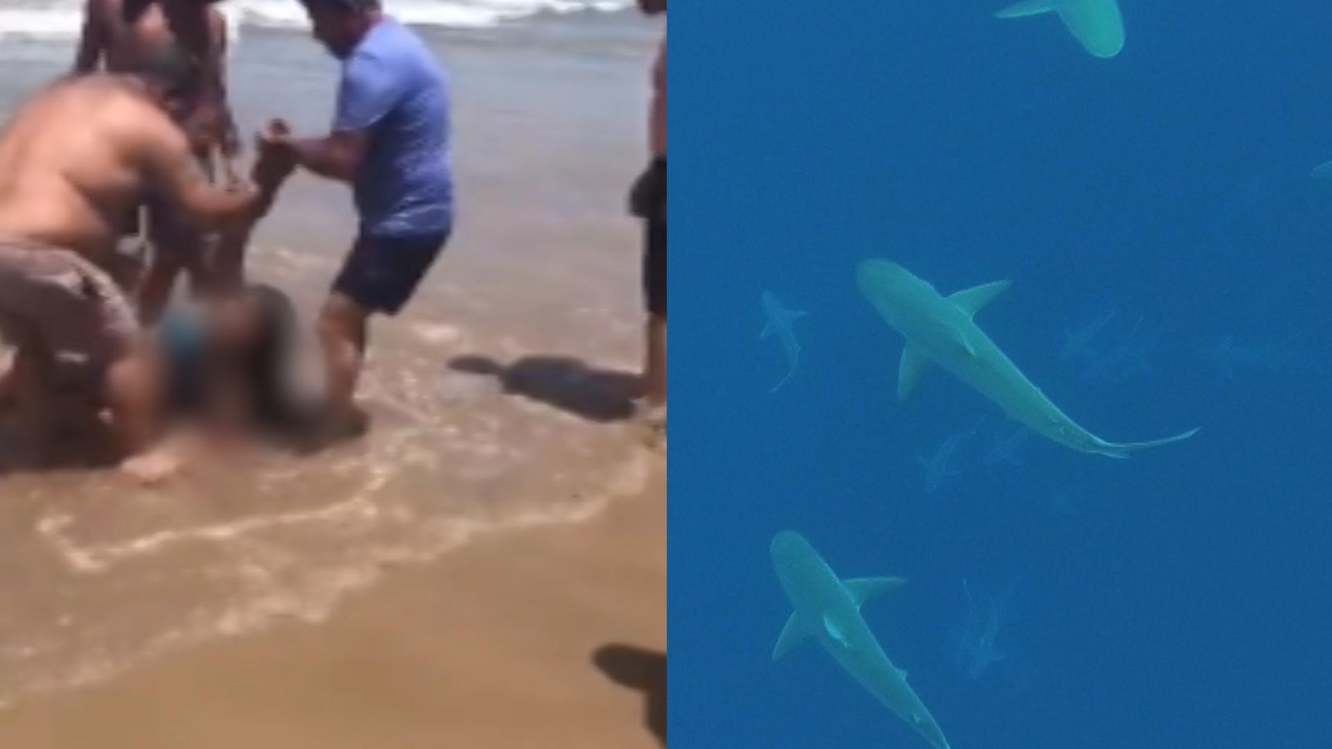 Shark attack: girl (15) loses arm at horror beach Two incidents in 48 hours