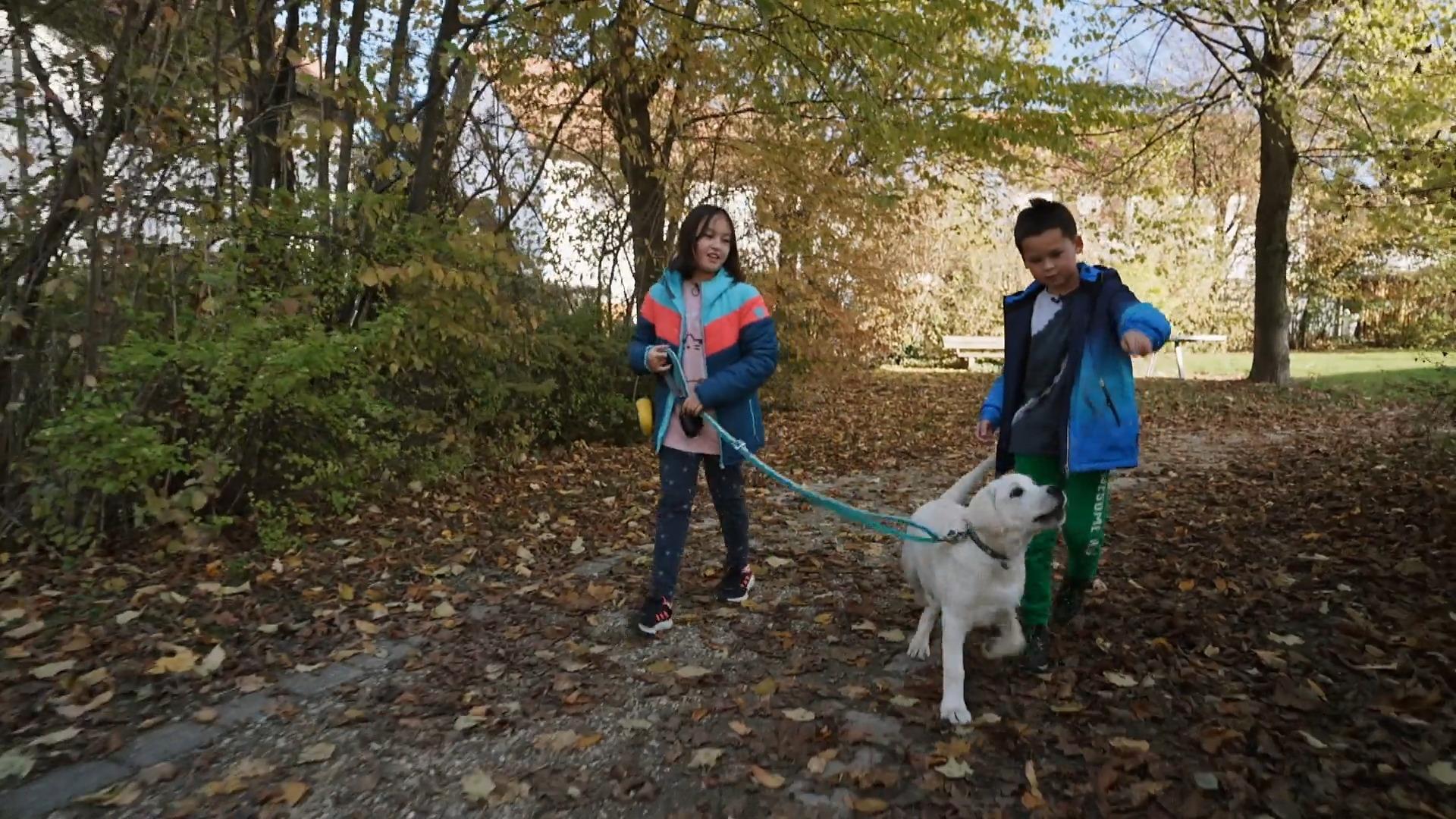 Sophia und Elias gehen ohne Eltern mit dem Hund Gassi Labrador Loki
