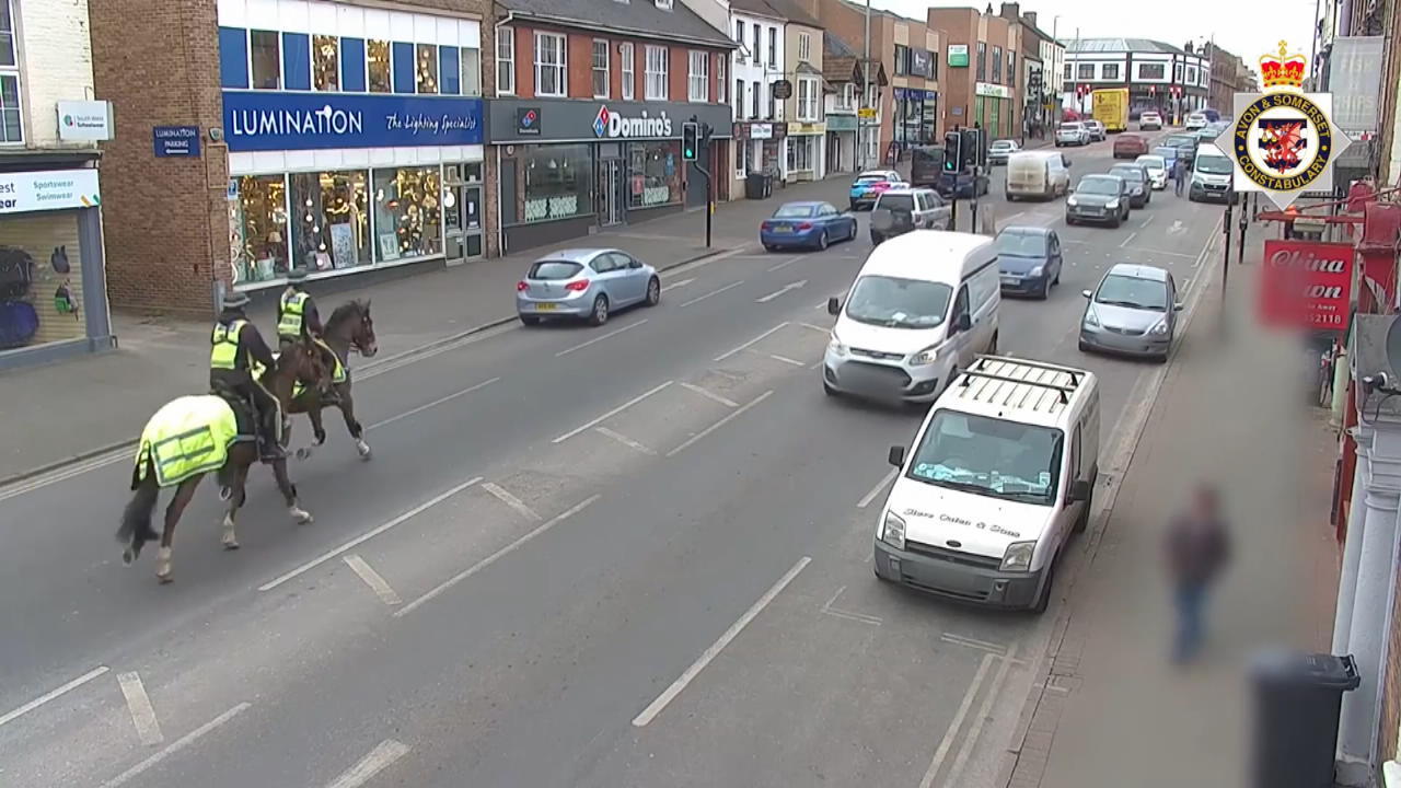 Polizisten verfolgen Auto-Flegel  - per Pferd! Stopp mit Galopp!