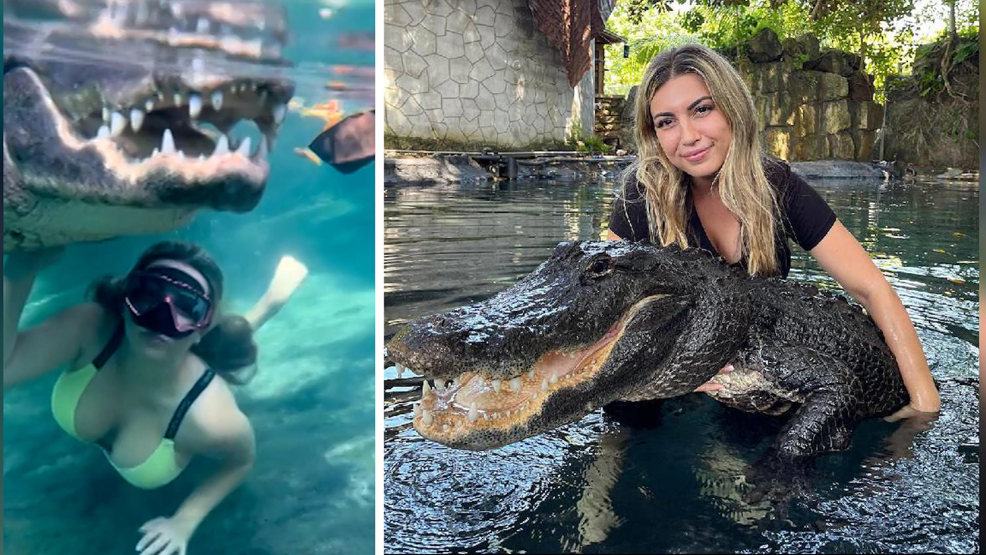 Ist die irre?! Frau plantscht mit XXL-Alligator Die Schöne und das Reptil