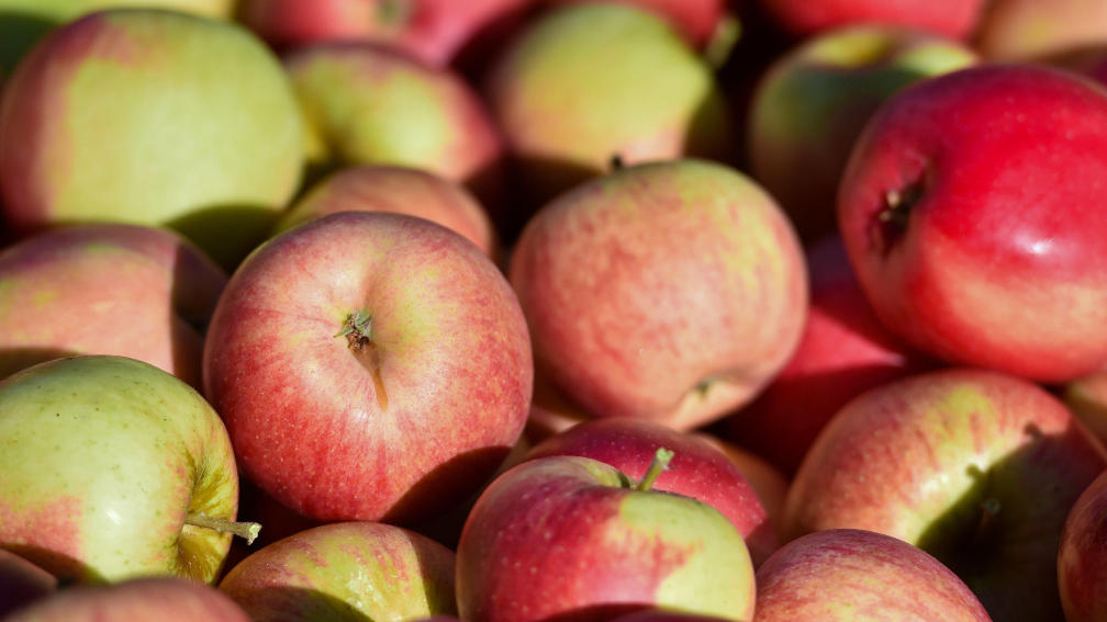 Darum sollten Äpfel nicht neben anderem Obst gelagert werden Tipp für die Lagerung