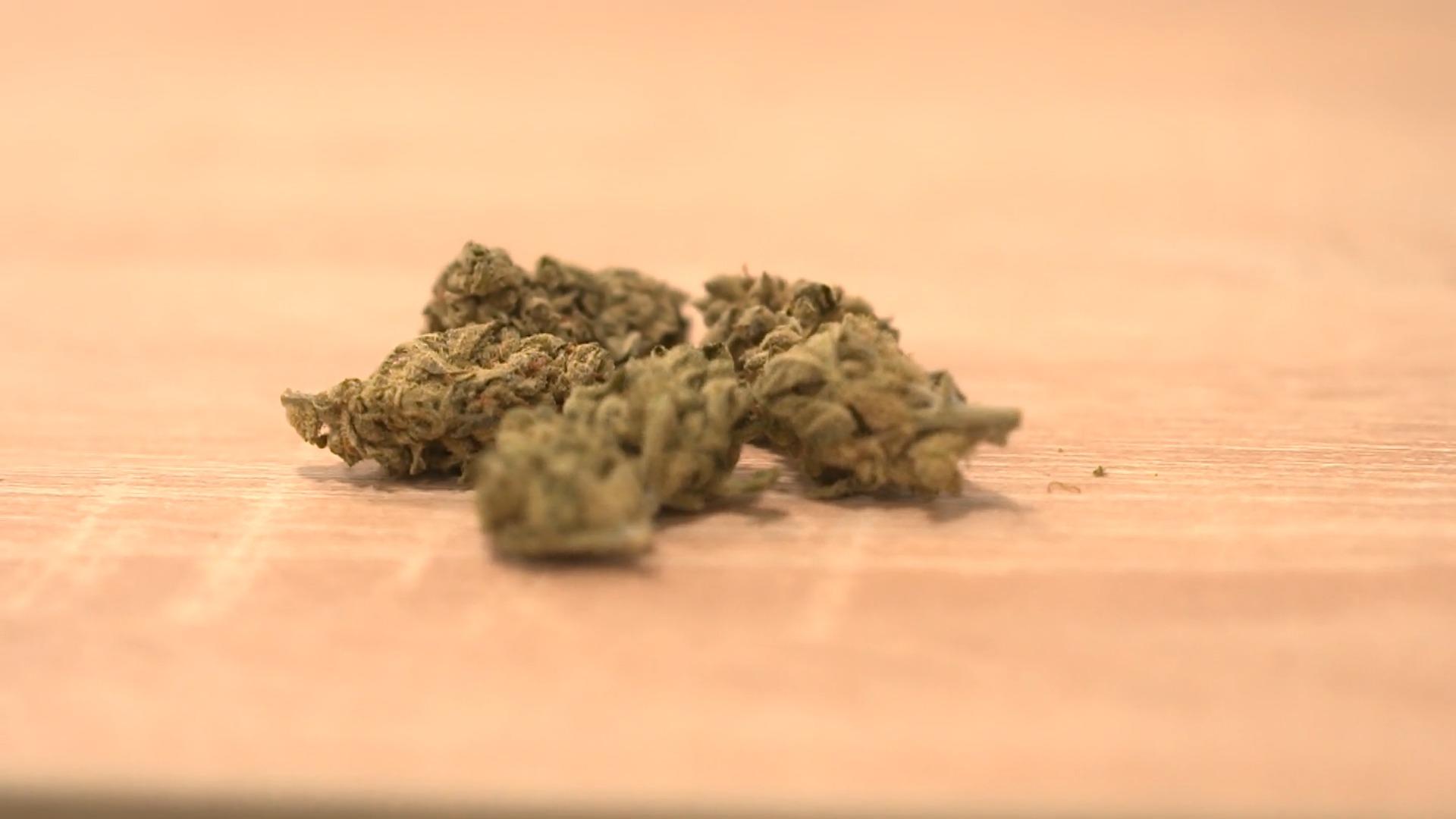 Cannabis Plan für Legalisierung