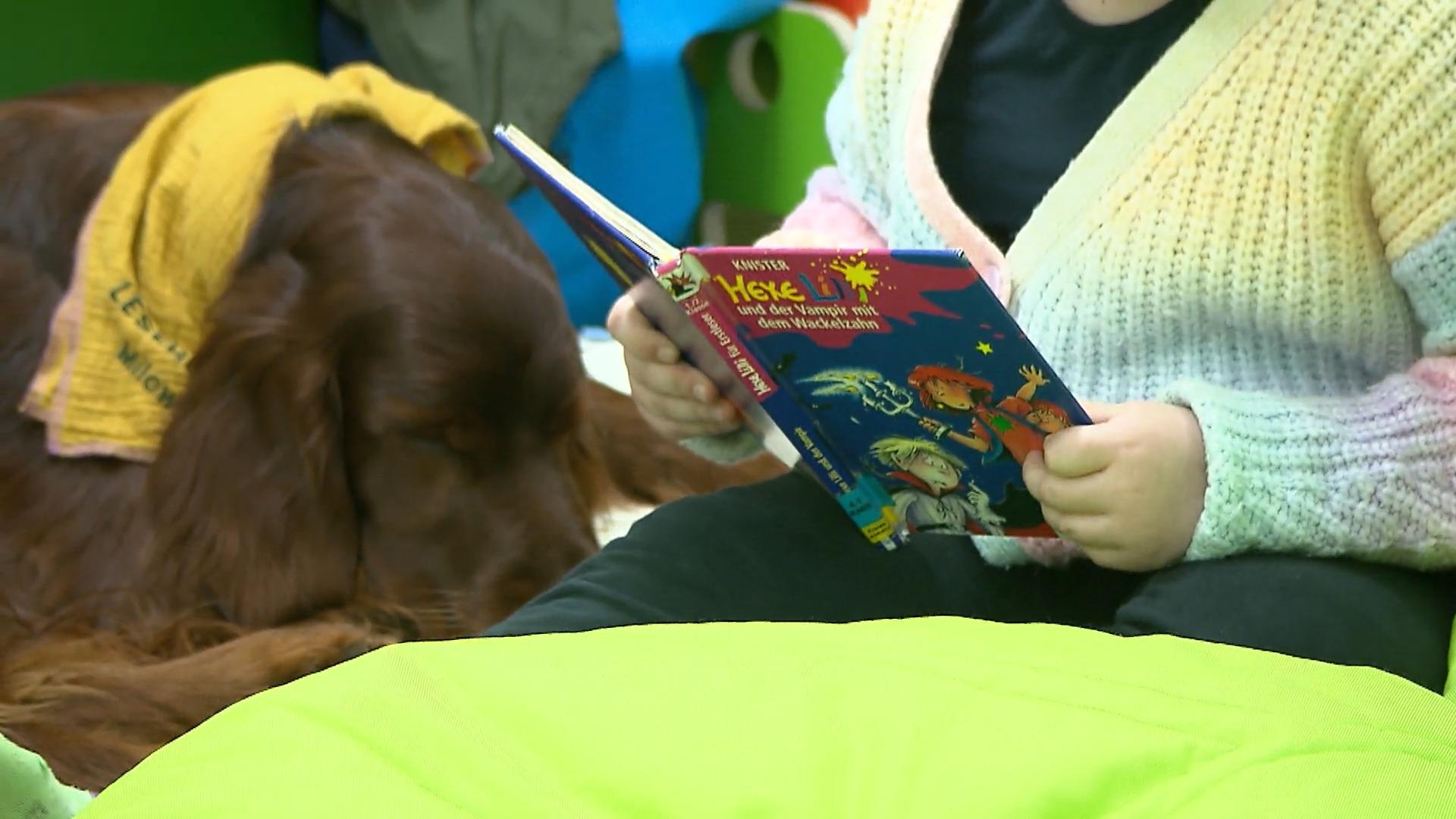 Hund besucht Leseratten Lesen lernen